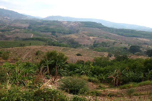 The rolling terrain of Arakan. KEITH BACONGCO (5 April 2016)